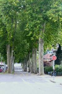 Route des Bonnesfontaines