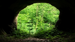 Conte&hellip;  Mythe ou l&eacute;gende?